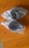 САЙЛЕНБЛОК ЗАДНИЙ ПЕРЕДНЕГО ПРАВОГО РЫЧАГА (SUBARU IMPREZA G11 2000-2007) FEBEST FEBEST - SAB-BHRR (Febest) - SAB-BHRR (Фото 2)